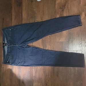 Torrid Skinny Jeans 20T